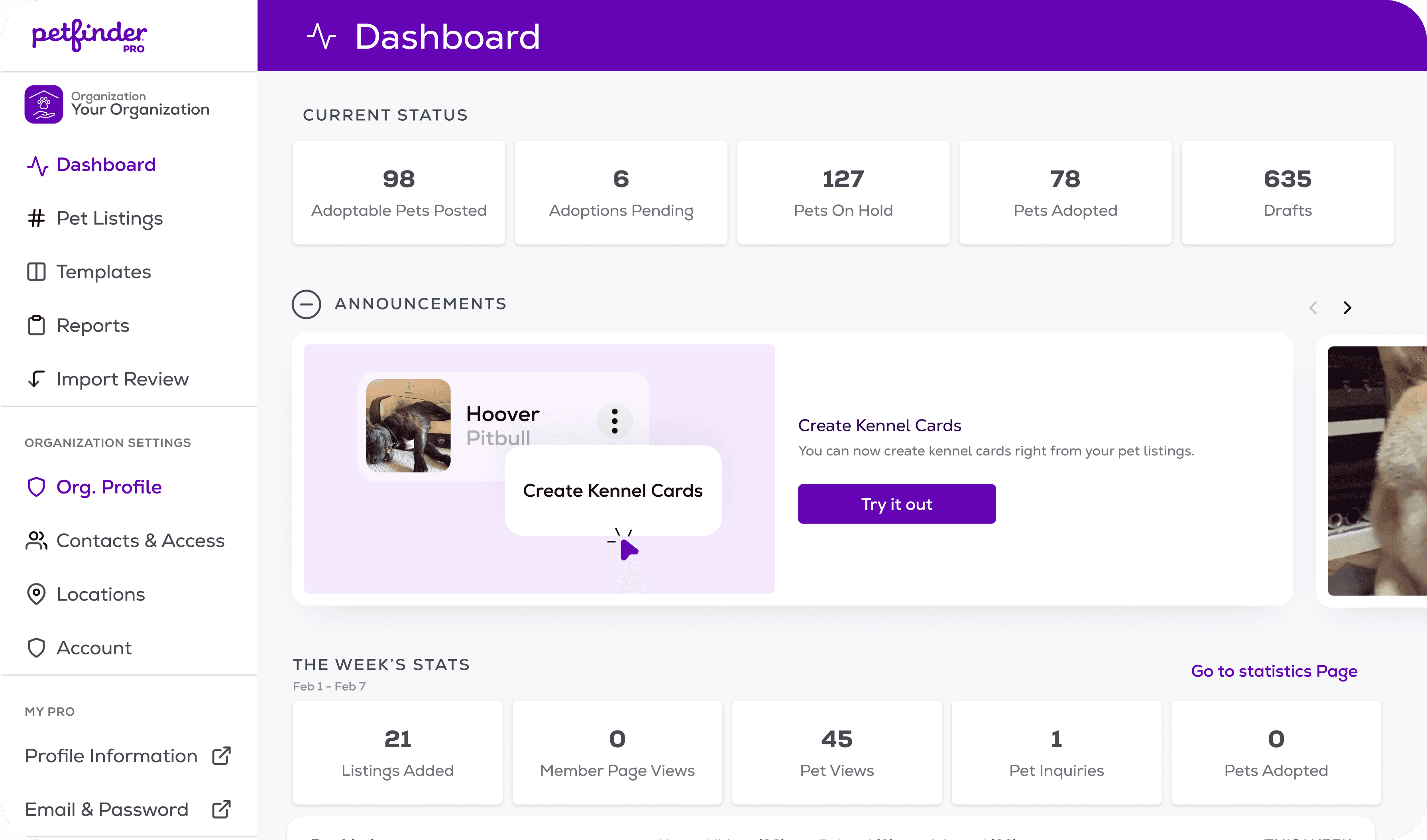 screenshot of the petfinder dashboard